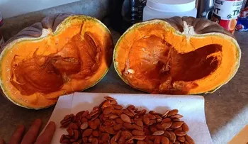 Cáscara de calabaza: un super secreto que debes probar