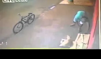 El perro menos guardián: se deja robar sin pegar un ladrido (VIDEO)