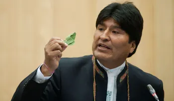 Evo Morales promulga una polémica ley que amplía la superficie de cultivo de coca en Bolivia