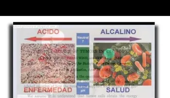 La causa de todas las enfermedades (Video)