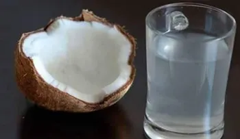 El agua de coco sirve para combatir la diabetes, hipertensión, riñones, trastornos en la orina, colitis y úlcera gástrica 