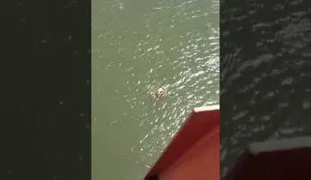 Niños "héroes" arriesgan sus vidas para salvar a un hombre que se tiró del puente de la 17