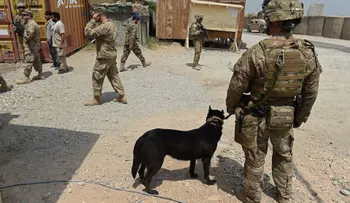 Estados Unidos permitirá a personas transgénero servir en el Ejército