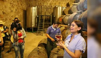 La caña paraguaya quiere ser como el tequila