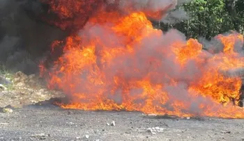 Procuraduría incinera 45 kilos de drogas