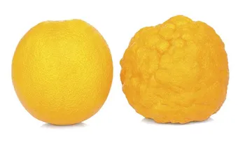 Todo lo que creías cierto (y no lo es) acerca de la celulitis.