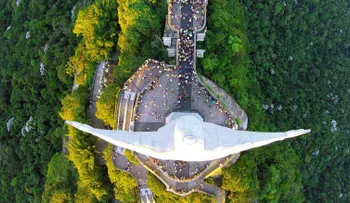 Dronestagram: así se ve el mundo desde la perspectiva de un ave