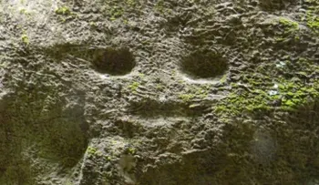 Fotos: Excursionistas hallan petroglifos de más de 1.000 años en una isla del Caribe