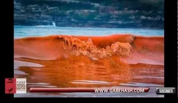 Una playa se convierte en sangre en Australia