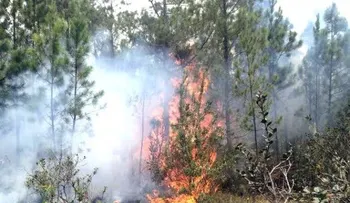 Ministerio advierte falta mucho trabajo para sofocar fuego en Valle Nuevo