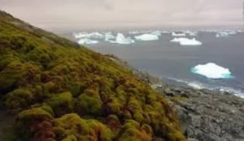 El turismo está aumentando en la Antártida, así como las temperaturas: ¿es hora de suspender las visitas?