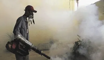 Con hierbas, los zulianos acaban con zancudos para prevenir zika