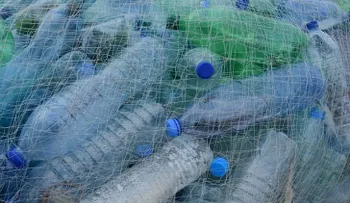 Una pareja de novio reciclarán más de 800 mil botellas para poder pagar su boda