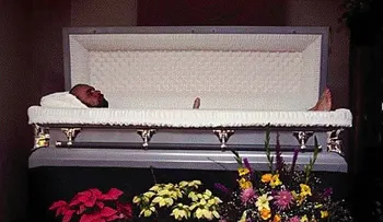 Muerto vivo