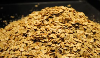 No sólo para dietas: ¡los copos de avena pueden ser deliciosos!
