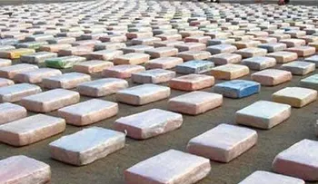 Decomisan 204 kilos de cocaína procedente de R. Dominicana en España