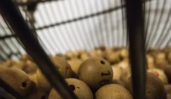 La desafortunada historia de dos ganadores de un millón de dólares, que no pudieron cobrar