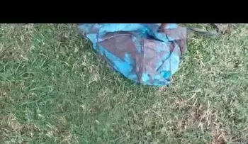 Increíble rescate de dos cachorros atrapados en un desagüe en Uruguay (VIDEO)