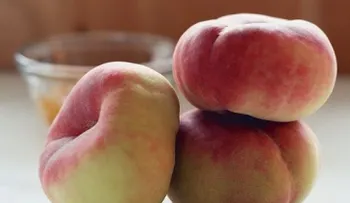 Cómo hacer una rica mermelada de durazno casera