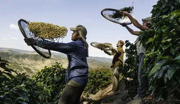 La meditación y el café de la mañana: rituales del legendario fotógrafo Steve McCurry