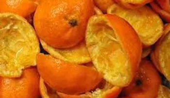 La cáscara de mandarina y lo que nunca te han dicho 
