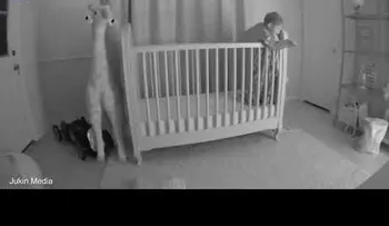 Un padre salva a su niño en el último segundo