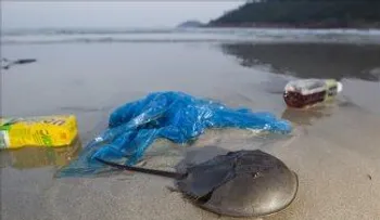 Conferencia alto nivel abordará en Chile contaminación marina y pesca ilegal      