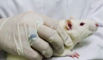 Investigadores logran importante regresión del cáncer de pulmón en ratones
