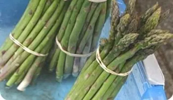 Alimentos beneficiosos para los riñones