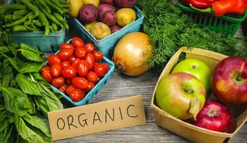  Qué son los alimentos orgánicos 