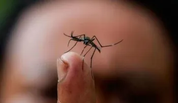 Salud Pública aclara solo un bebé con microcefalia es por Zika en RD