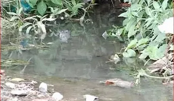 Aguas arrastran tumbas en cementerio de SJM
