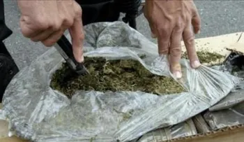 DICAN ocupa 153,841.13 gramos de distintos tipos de drogas