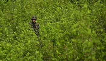 Procurador colombiano denuncia que el gobierno permite que las FARC sigan con el narcotráfico