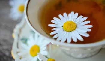 Descubre como eliminar los quistes en los ovarios de forma natural