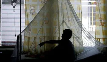 El dengue ha causado este año 29 muertos y 40,000 enfermos en CA