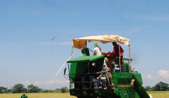 Arroceros piden al Gobierno un plan nacional de respuesta que preserve el empleo rural