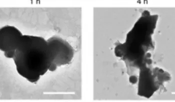 Crean robots miniatura inyectables para combatir el cáncer 