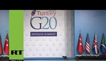 Conozca la delegación secreta de la cumbre G20 (VIDEO)