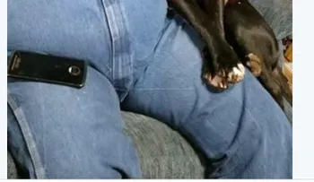 Un hombre es herido de bala por su propio perro
