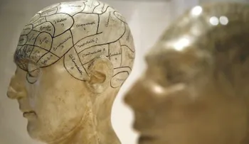 ¿Nada en la vida le da placer?, científicos explican el motivo