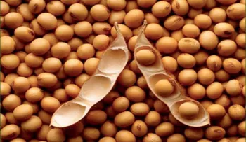 8 argumentos â??científicosâ? para dejar de tomar soya