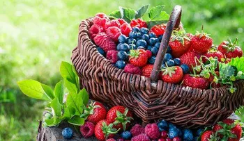 Dieta para prevenir el cáncer de piel