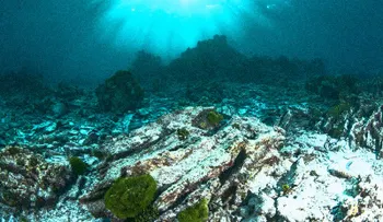 Google Earth descubre una presunta ciudad submarina, oculta en las costas de México (VIDEO)