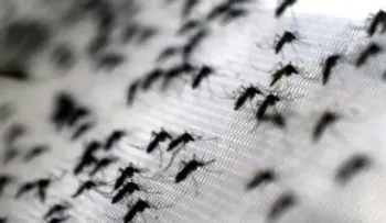 Más de 13 mil casos confirmados de Zika en Colombia