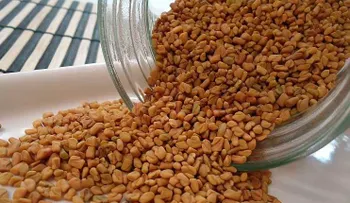 Alimentos para aumentar el busto