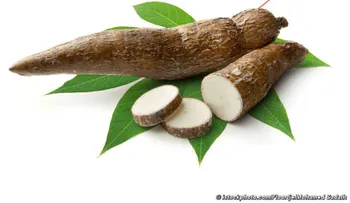 La yuca es ideal en niños en crecimiento y en adolescentes en desarrollo