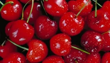 Conoce los alimentos que desinflaman y ayudan a perder peso
