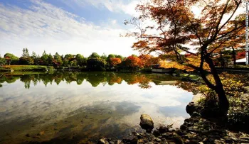 Los mejores lugares para ver los colores del otoño en Tokio