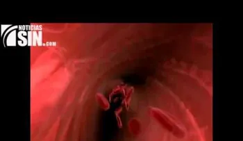 El colesterol: sustancia que existe naturalmente en el cuerpo (Video)